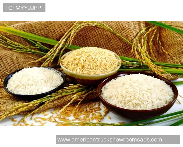 大米的营养价值与健康影响探索：从田间到餐桌的全方位分析